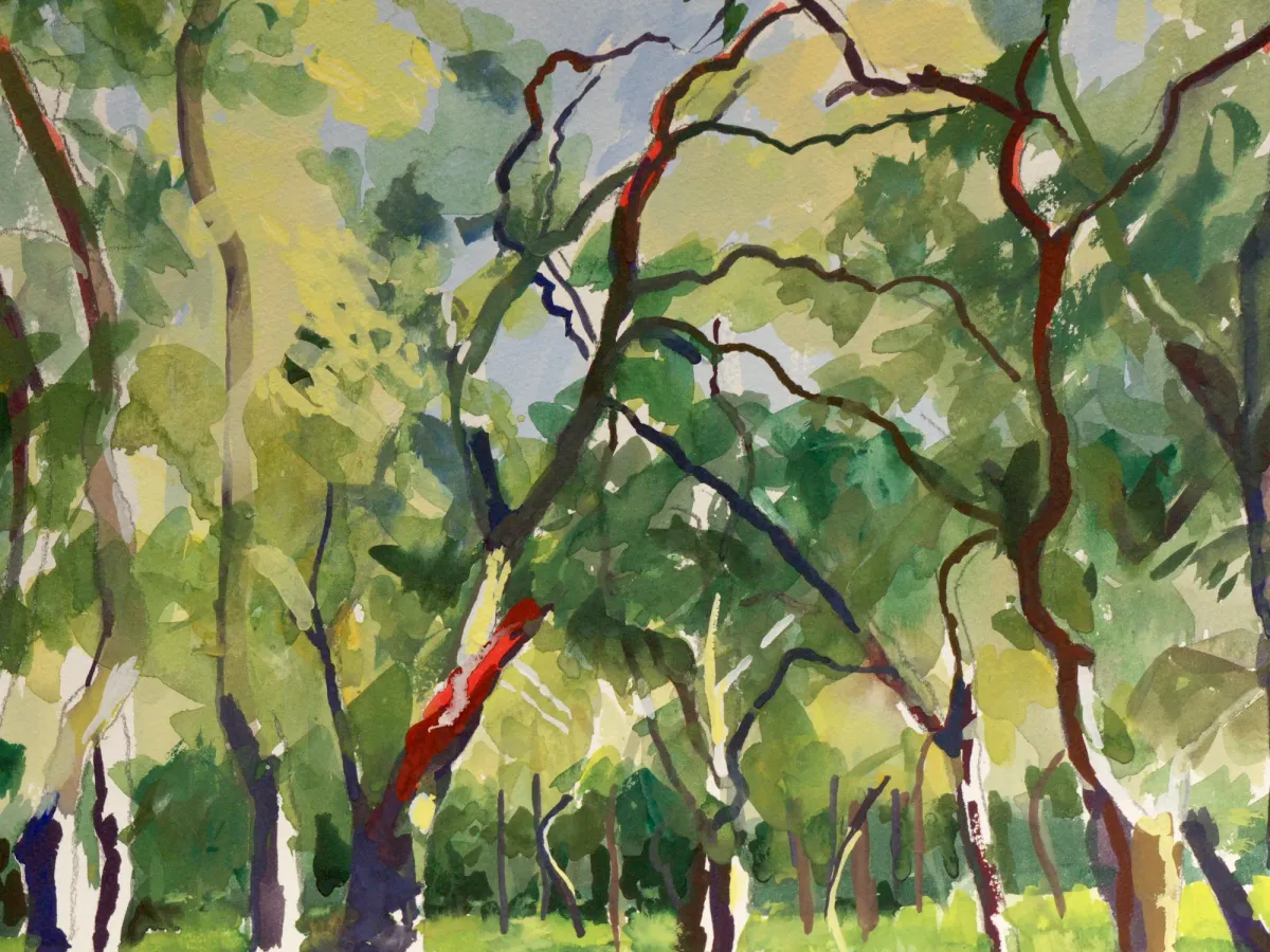 Cork Oak Woods buccheri, Sicily - Gouache painting of cork oak woods near Buccheri, Sicily by Nicholas Stedman