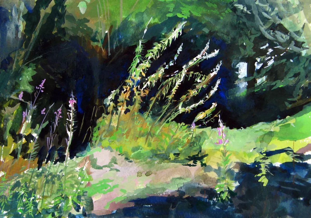 Wood With Rose Bay Willowherb - Gouache painting by Nicholas Stedman capturing the spirit of the landscape