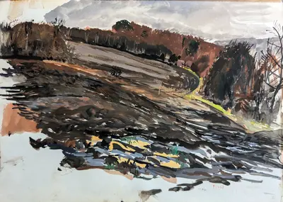 Woodland Field Sussex