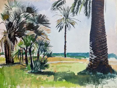 France Palms Jean Les Pins