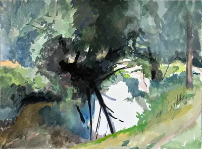 Stour Across The River Canterbury