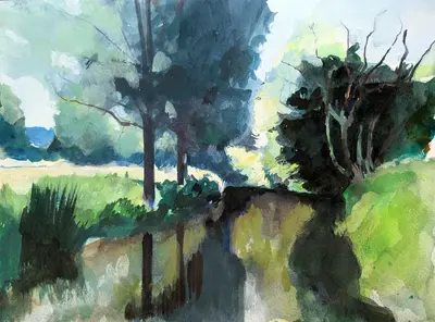 Stour Riverbank Catching Sune Willows